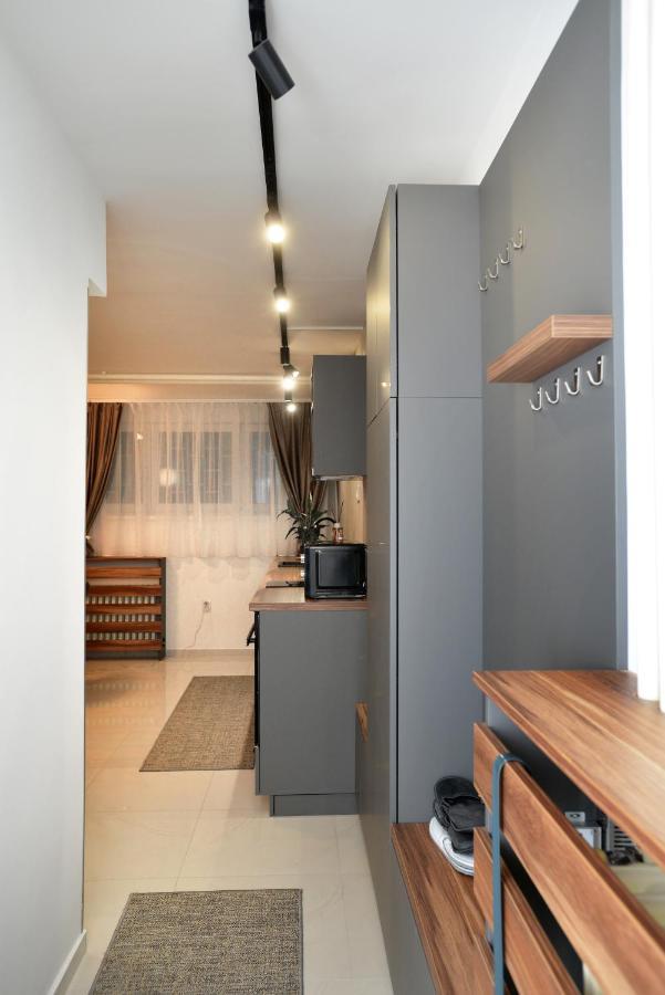 River&Bike Apartment With Free Electric Bike Belgrade Extérieur photo